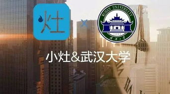小灶 x26amp 武漢大學(xué) 四大和互聯(lián)網(wǎng)企業(yè),你會選哪個