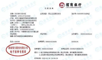 解放軍 醫(yī)療工作隊(duì) 央企互聯(lián)網(wǎng)企業(yè) 武漢 我們來了