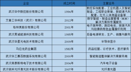 一窺武漢工業互聯網應用的喜與憂