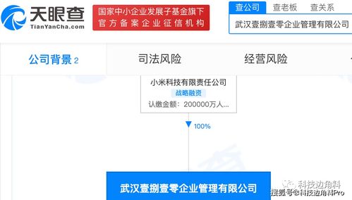 小米在武漢成立壹捌壹零企業(yè)管理公司,注冊(cè)資本20億