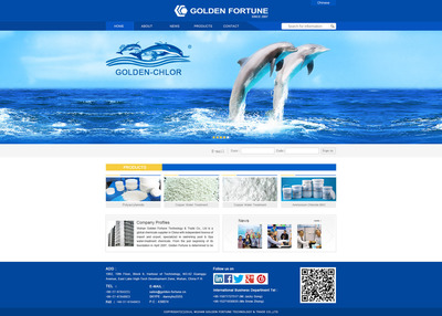 武漢金福達企業網站設計建設