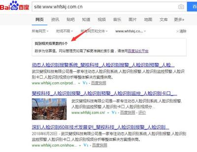 武漢企業(yè)公司網(wǎng)站做競價(jià)好還是做SEO優(yōu)化推廣好?