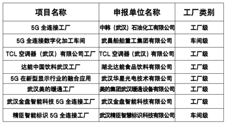 武漢市人民政府門戶網(wǎng)站與武漢企業(yè)網(wǎng)站 共建智慧城市生態(tài)