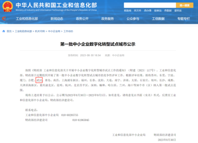 武漢市人民政府門戶網站與武漢企業網站 協同發展，共創城市新未來